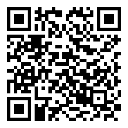 FRANCK MULLER法兰克穆勒女表